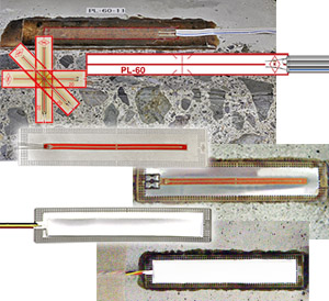 南宫NG28相信品牌的实力网址(中国)官网