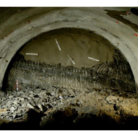 南宫NG28相信品牌的实力网址(中国)官网