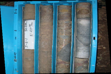 南宫NG28相信品牌的实力网址(中国)官网