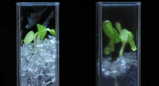 南宫NG28相信品牌的实力网址(中国)官网