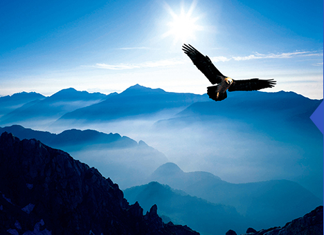 南宫NG28相信品牌的实力网址(中国)官网